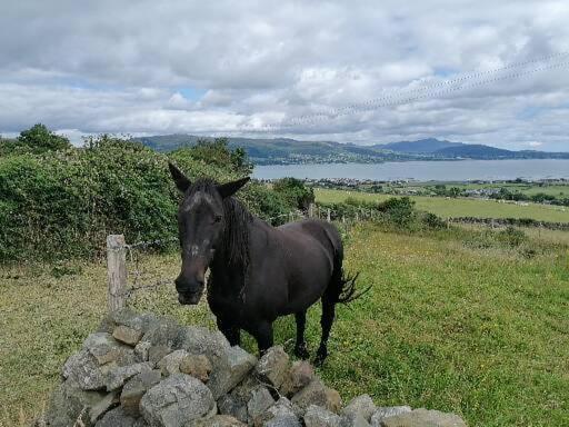 شقة Carlingford Mountain And Sea Views المظهر الخارجي الصورة